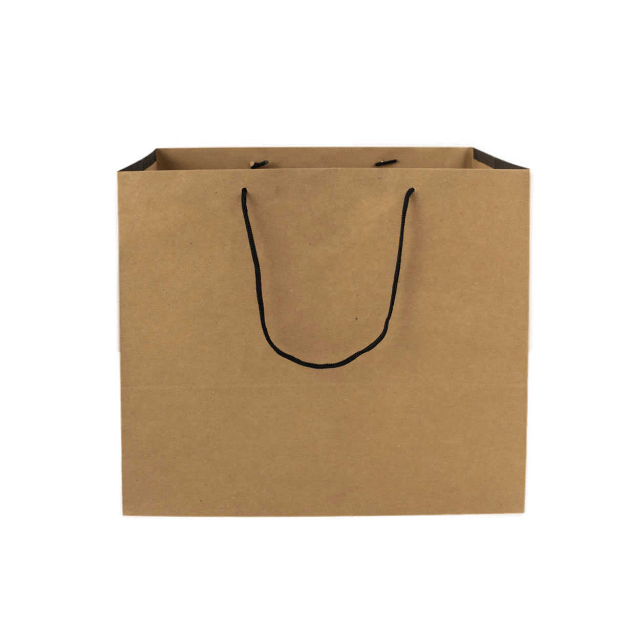 Sacola Kraft Com Alça de Nylon - PCT 50un