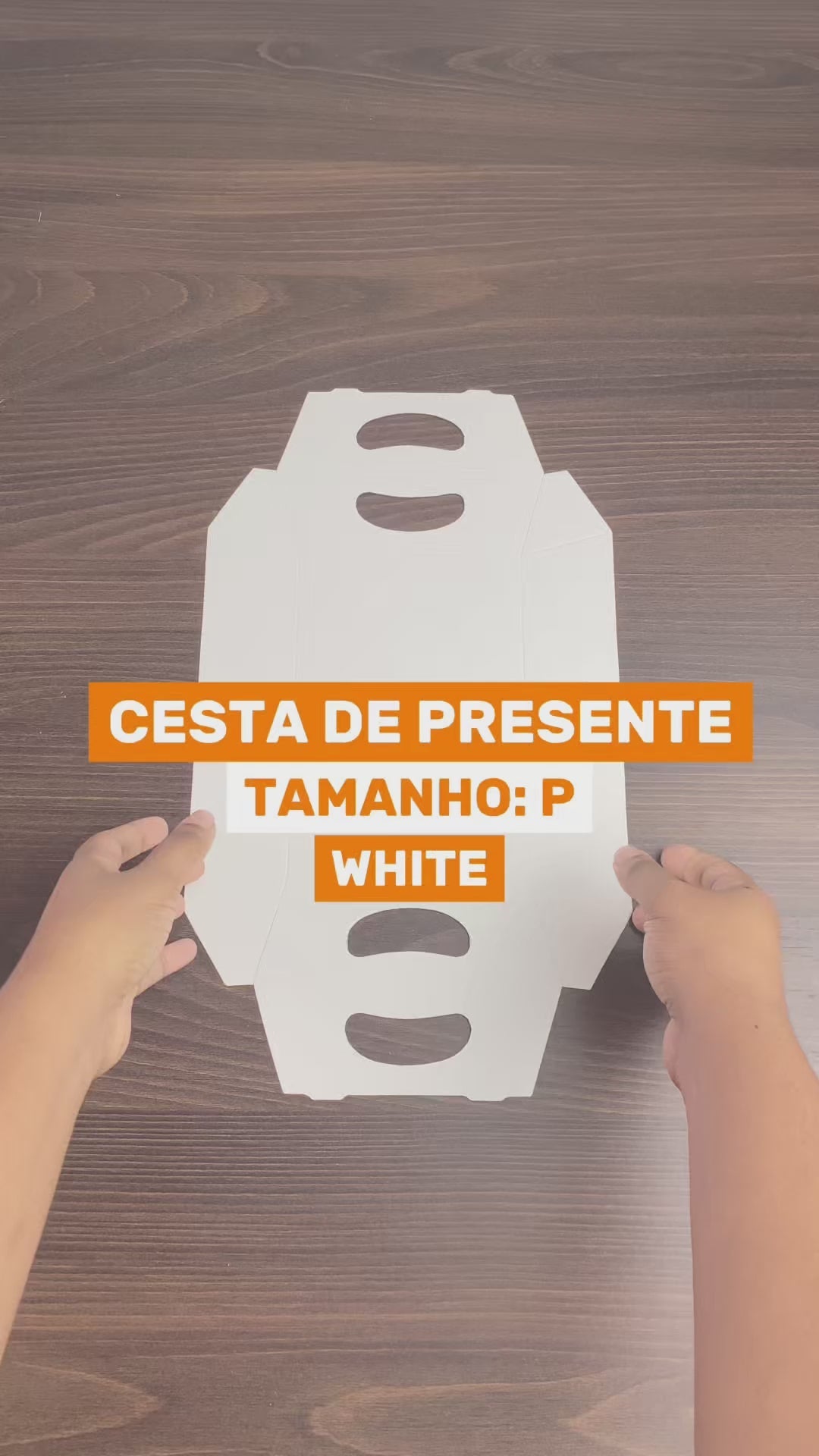 Barca de Batata Para Petisco e Porções Kraft P - PCT 50un