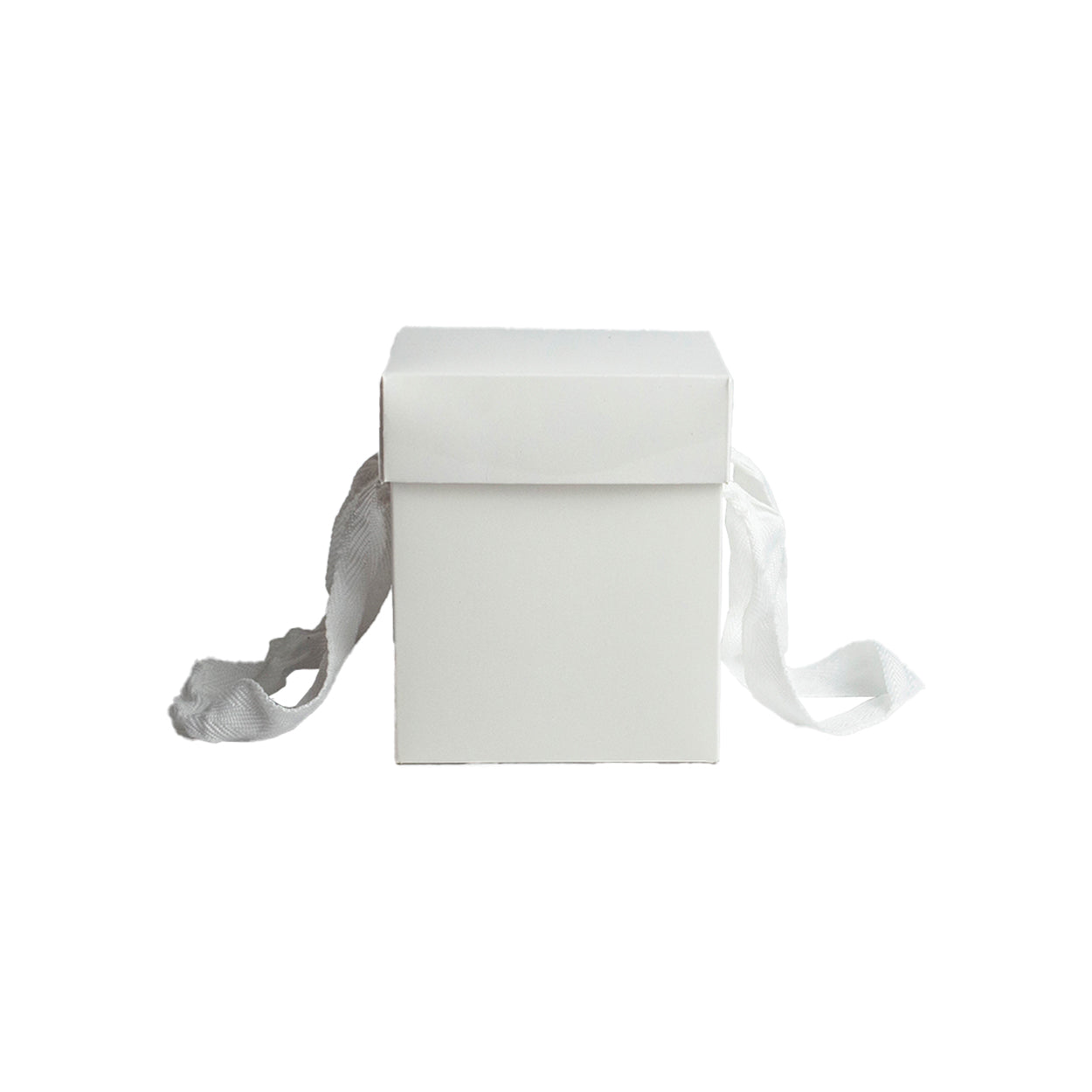 Caixa Premium Com Alça Para Panetone Branca P - PCT 10un